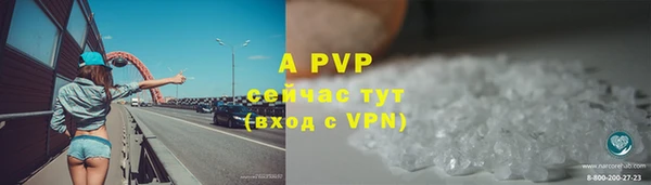 мдпв Осташков