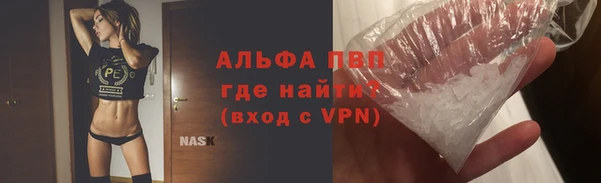 СК Каменка
