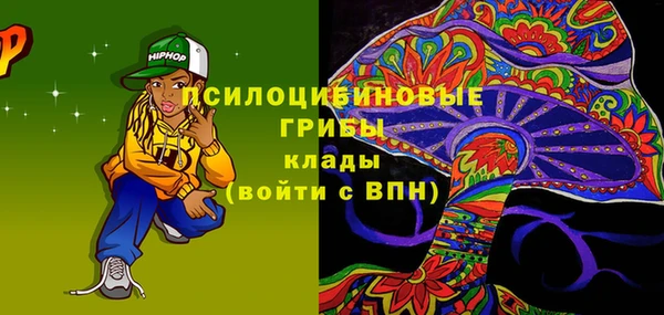 СК Каменка