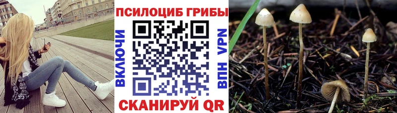 Галлюциногенные грибы ЛСД  mega как зайти  Себеж 